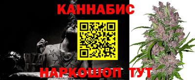 гашик Свободный