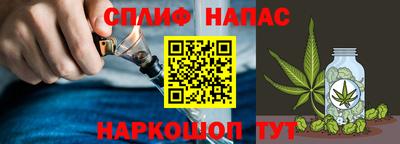 СК Славянск-на-Кубани