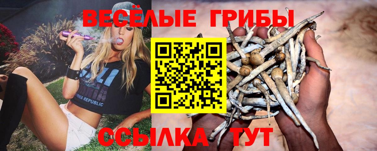 Галлюциногенные грибы Psilocybine cubensis Минеральные Воды